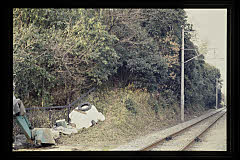 tanSF.D08-07_12()