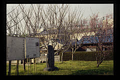 tanSF.D08-07_14()
