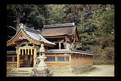 tanSF.D08-07_18()
