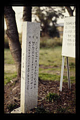 tanSF.D08-07_20()