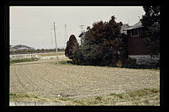 tanSF.D08-07_27()