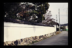 tanSF.D08-07_35()