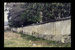 tanSF.D08-07_36()