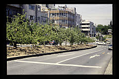 tanSF.D09-01_03()