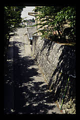 tanSF.D09-01_07()