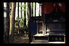 tanSF.D09-01_12()