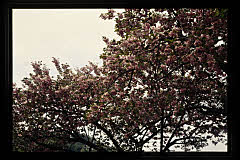 tanSF.D09-01_27()