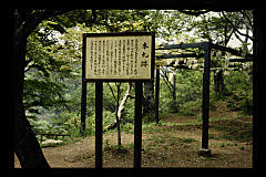 tanSF.D09-01_30()