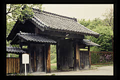 tanSF.D09-01_33()