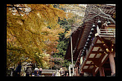 tanSF.D09-02_02()