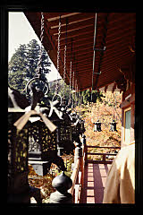 tanSF.D09-02_03()
