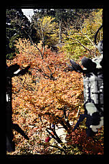 tanSF.D09-02_04()