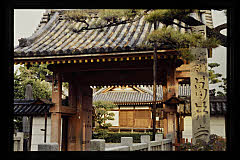 tanSF.D09-02_27()