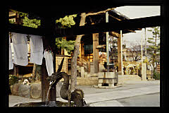 tanSF.D09-02_28()