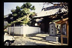 tanSF.D09-03_28()