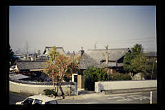 tanSF.D09-03_29()