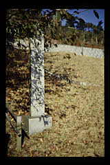 tanSF.D09-03_34()