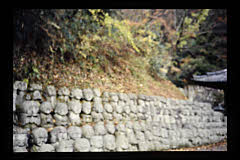 tanSF.D09-03_36()