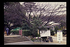 tanSF.D09-04_03()