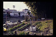 tanSF.D09-04_31()