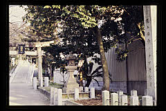 tanSF.D09-04_35()