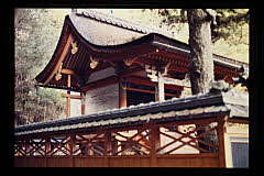 tanSF.D09-04_38()