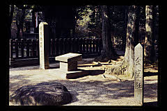 tanSF.D09-05_06()