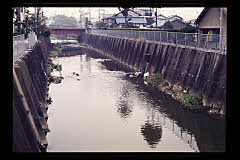 tanSF.D09-05_19()