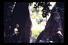 tanSF.D09-05_35()