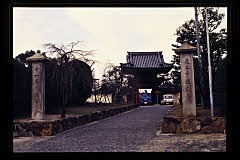 tanSF.D09-05_38()