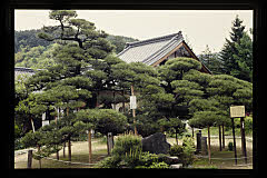 tanSF.D09-06_07()