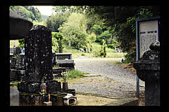 tanSF.D09-06_11()