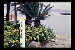 tanSF.D09-07_12()
