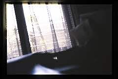 tanSF.D09-10_01()