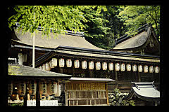 tanSF.D09-10_18()
