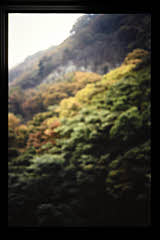 tanSF.D09-11_38()