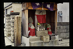 tanSF.D09-12_09()