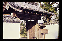 tanSF.D10-01_13()