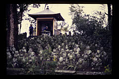 tanSF.D10-01_24()