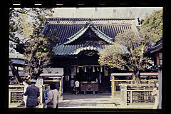 tanSF.D10-01_27()
