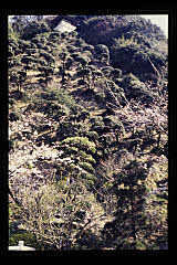 tanSF.D10-01_33()