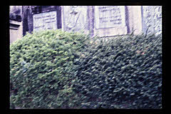 tanSF.D10-02_01()
