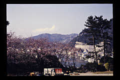 tanSF.D10-02_04()