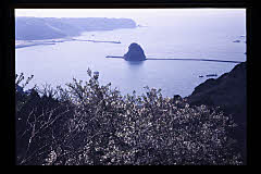 tanSF.D10-02_07()