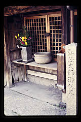 tanSF.D10-03_22()