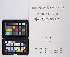 Wansuaponataimuinkyouto nishikikoujinosurounin