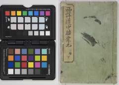 有