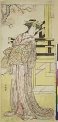 RV-1353-1121A・・春好〈1〉〈3〉瀬川　菊之丞