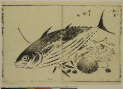 RV-2689-12安永０７・・英一蝶「松魚」「赤貝」「螺」「蛤」