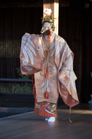no01-00026_151平成２９・2017伏見稲荷大社「羽衣」（シテ）金剛龍謹（ワキ）岡充（笛）森田保美（小鼓）曽和鼓堂（大鼓）谷口正壽（太鼓）前川光範（地頭）豊嶋幸洋（本後見）豊嶋晃嗣　他 